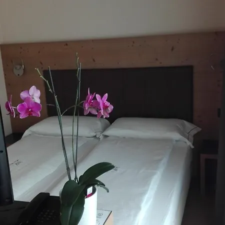 Hotel Silvestri 3*