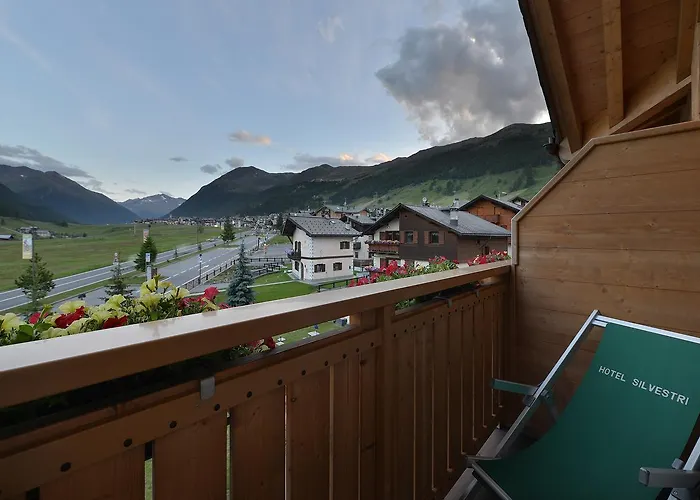 Hotel Silvestri 3*